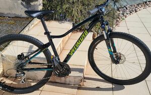 VTT Spécialized Femme
