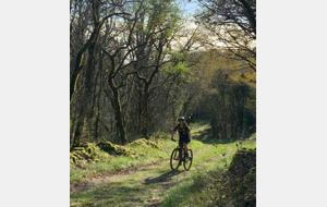 Sortie club base nautique