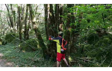 Nettoyage des chemins